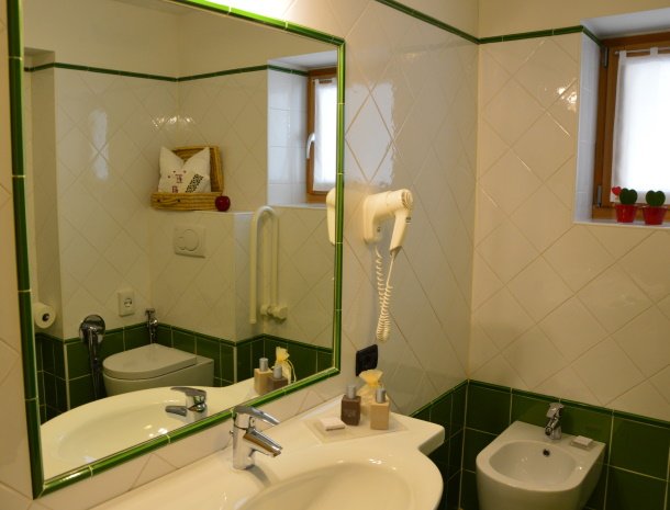 hotel-carpe-diem-vigo-di-fassa-trentino-badkamer.jpg