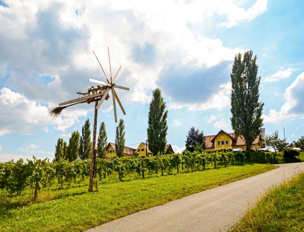 wijngebied-klapotetz-steiermark-specifiek-detail.jpg