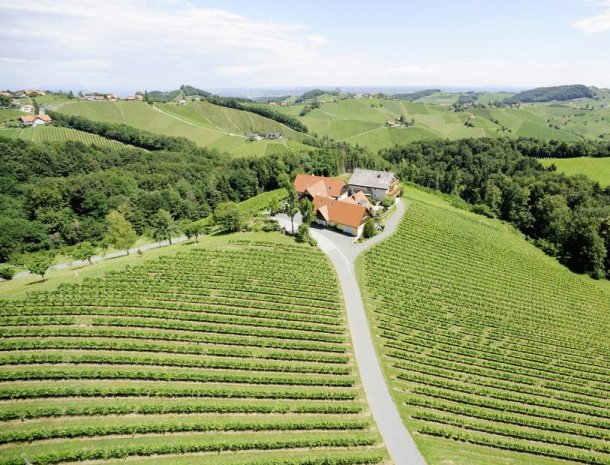 weingut-dreisiebner-wijngaarden-steiermark.jpg