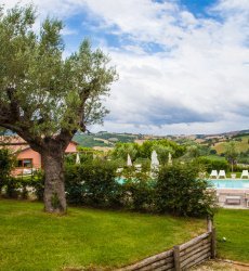 agriturismo-il-giuggiolo-marche-zwembad-vier-appartementen.jpg