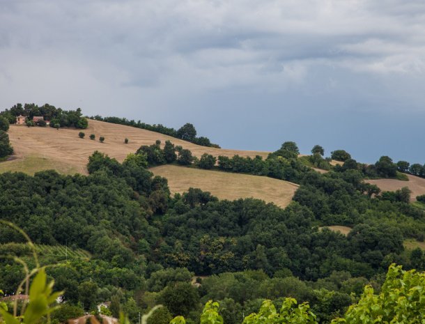 agriturismo-il-giuggiolo-marche-uitizcht-omgeving.jpg