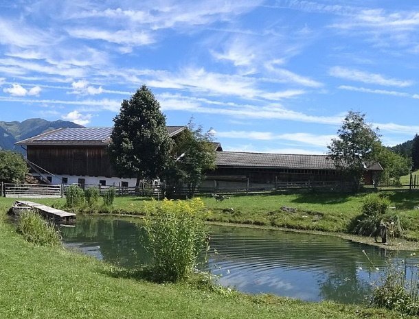 ferienhof-oberreit-salzburgerland-zwemvijver.jpg