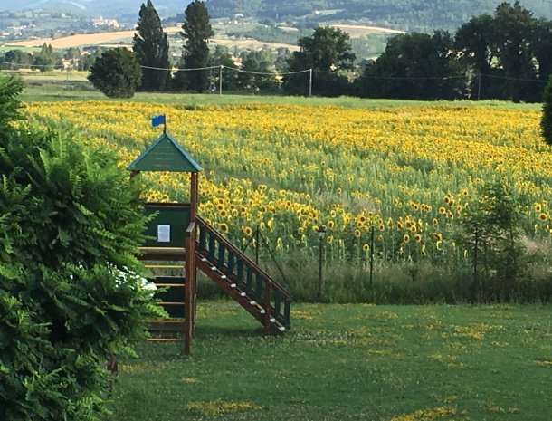 agriturismo-le-rondini-di-francesco-di-assisi-umbrie-appartementen-speeltuin-zonnebloemen.jpg