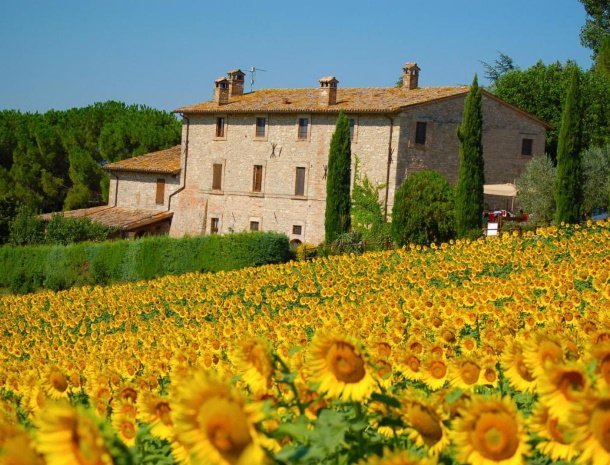 agriturismo-casale-dei-frontini-todi-umbrië-gastenverblijf-zonnebloemen.jpg