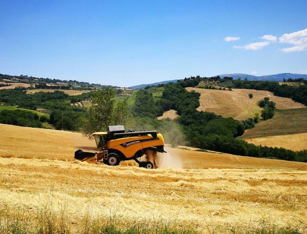 agriturismo-casale-dei-frontini-todi-umbrië-landschap.jpg