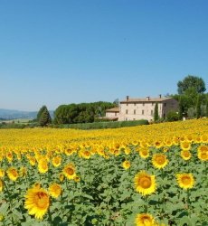 agriturismo-casale-dei-frontini-todi-umbrië.jpg