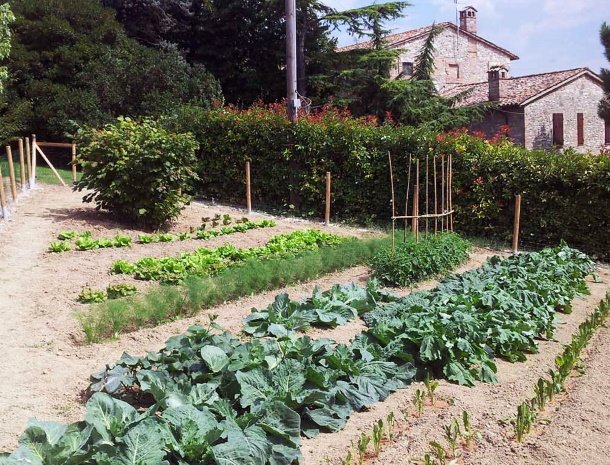 agriturismo-casale-dei-frontini-todi-umbrië-moestuiin.jpg