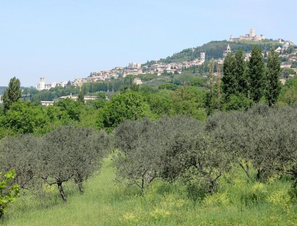 country-house-poggio-fiorito-assisi-umbrie-uitzicht-basiliek.jpg