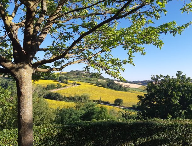 country-house-montesoffio-marche-uitzicht-zonnebloemen.jpg