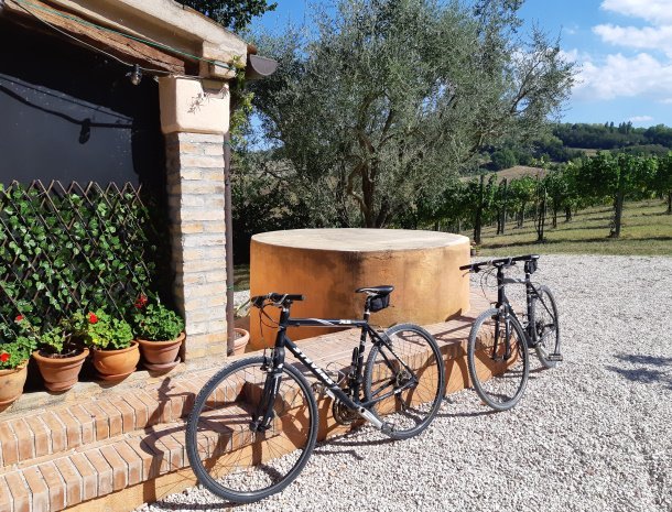 country-house-montesoffio-marche-mountainbikes.jpg