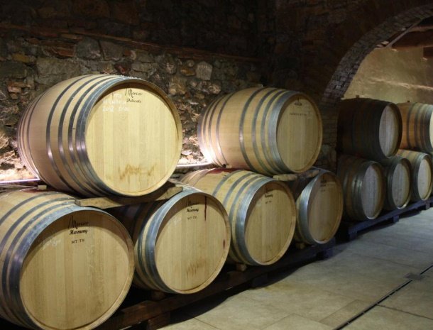 fattoria-san-donato-agriturismo-san-gimignano-wijnkelder.jpg