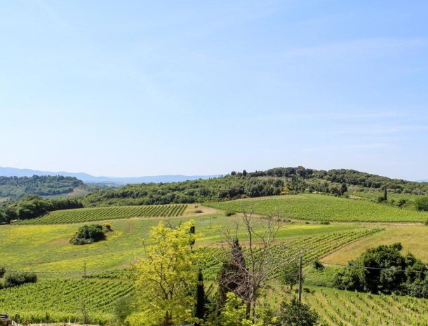 fattoria-san-donato-agriturismo-san-gimignano-omgeving-wijngaarden.jpg
