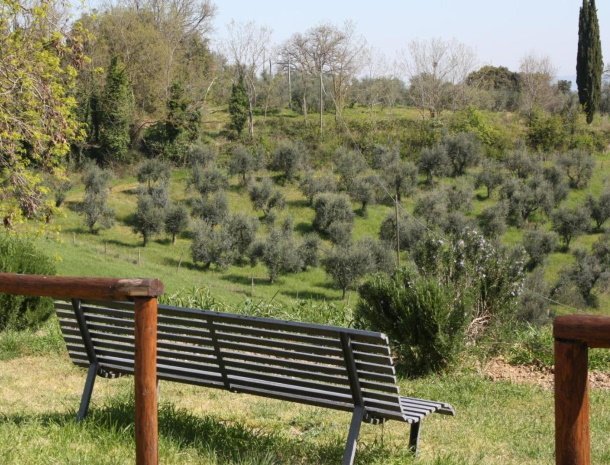 fattoria-san-donato-agriturismo-san-gimignano-tuin-bankje.jpg
