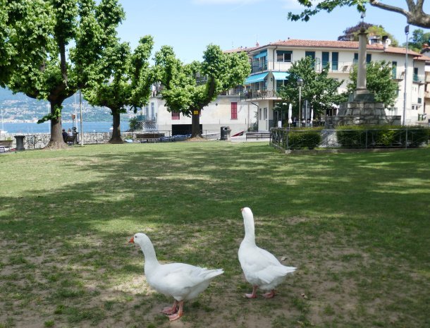 la-dama-del-porto-laveno-lago-maggiore-ligging-aan-meer.jpg