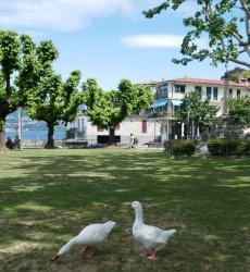 la-dama-del-porto-laveno-lago-maggiore.jpg