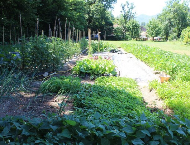 hotel-bocciolo-ortasangiulio-moestuin-eigen-groenten.jpg