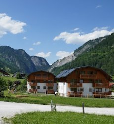 die-unterbergerin-dorfgastein-gasteinertal-salzburgerland-oostenrijk.jpg