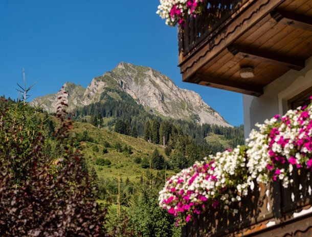 die-unterbergerin-dorfgastein-gasteinertal-salzburgerland-uitzicht-balkon-zomer.jpg