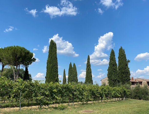 tenuta-sovestro-san-gimignano-cipressen.jpg