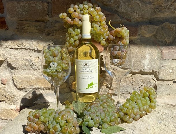 tenuta-sovestro-san-gimignano-vernaccia-wijn.jpg