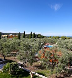 agriturismo-posta-pastorella-vieste-puglia.jpg