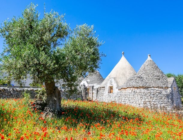 vallei-van-de-trulli-puglia.jpg