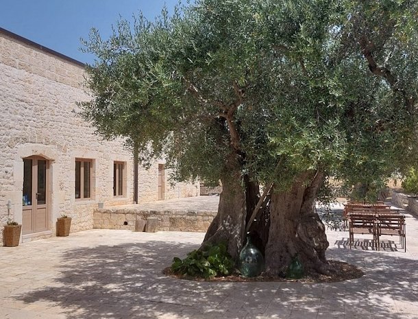 masseria-fanizzi-conversano-puglia-olijfboom-ingang.jpg