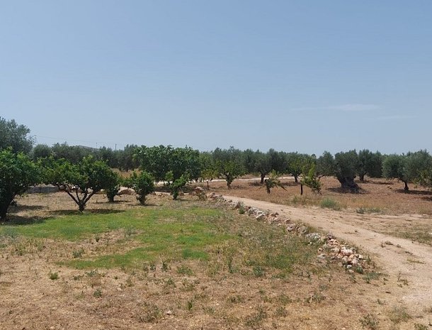 masseria-fanizzi-conversano-puglia-omgeving.jpg