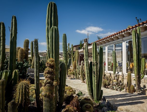 bed-and-breakfast-garden-cactus-agrigento-cactussen-ontbijtruimte.jpg