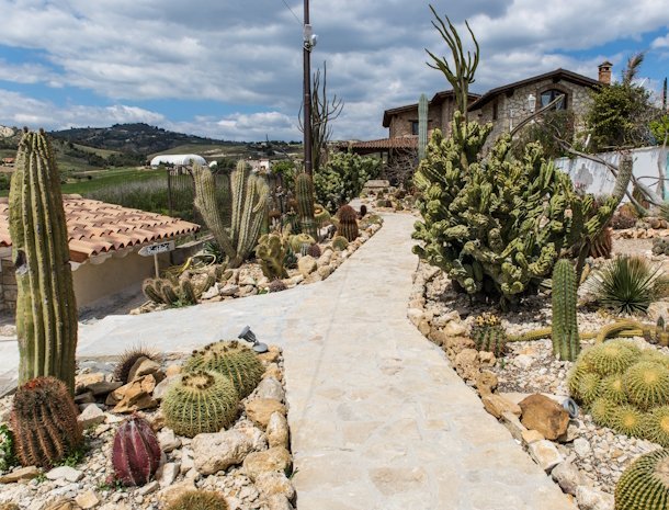 bed-and-breakfast-garden-cactus-agrigento-cactussen-tuin-overzicht.jpg