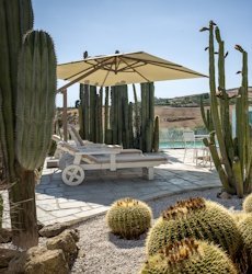 bed-and-breakfast-garden-cactus-agrigento-sicilie.jpg