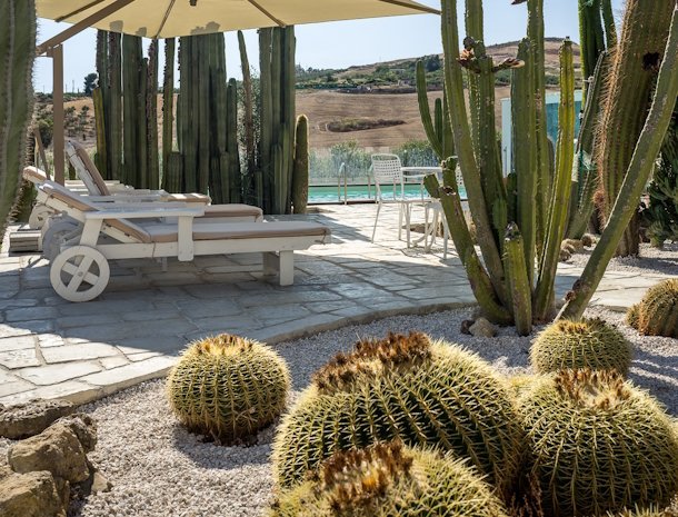 bed and breakfast garden cactus met zwembad.jpg