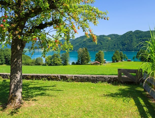 uitzicht-attersee-oostenrijk.jpg