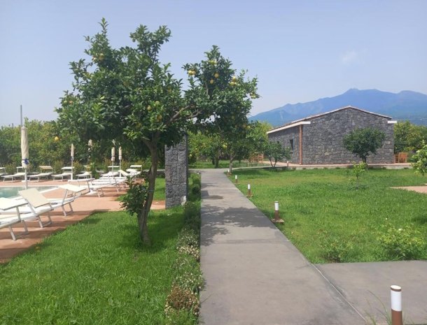 agriturismo-lumia-resort-oost-sicilië-citroenboom.jpg