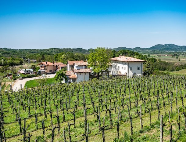 Borgo Gradis'ciutta Gorizia Friuli.jpg