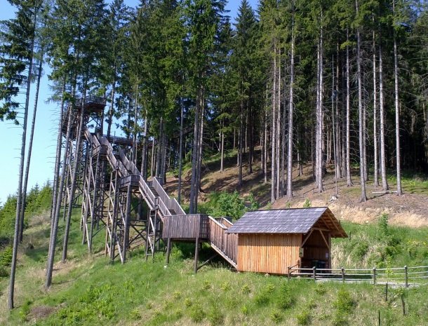 Wipfelwanderweg-Rachau-steiermark