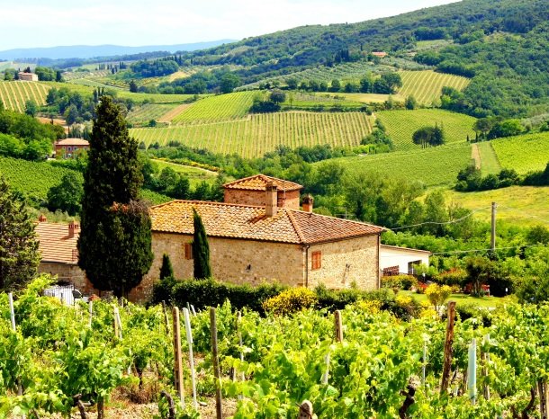 wijngaard-Chianti-toscane