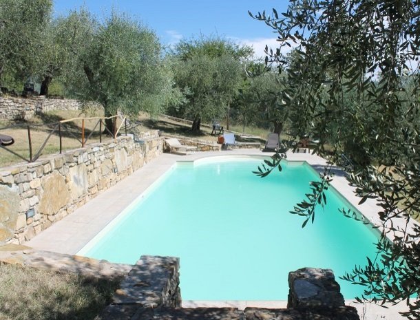 casale-le-pergole-pontassieve-zwembad-olijfboom.jpg