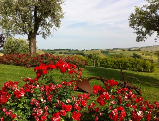 agriturismo-divin-amore-marche-bloemen.jpg