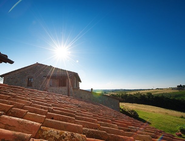 agriturismo gatto giallo montegabbione zon.jpg