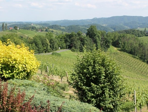 weingut mahorko_steiermark-wijngaarden.jpg