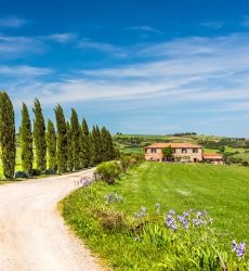 toscane-chianti-cipressen-landweg