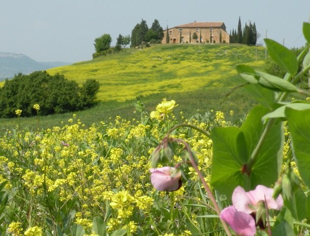 agriturismo-Bonello-pienza-toscane