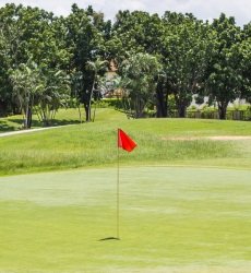 golfbaan-vlag-hole