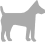 hond