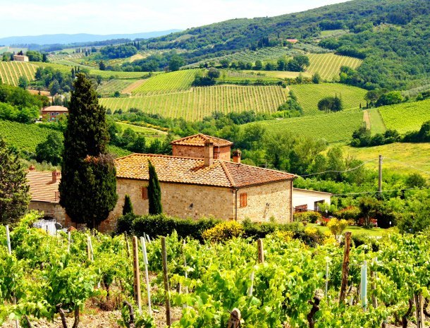 wijngaard-Chianti-toscane