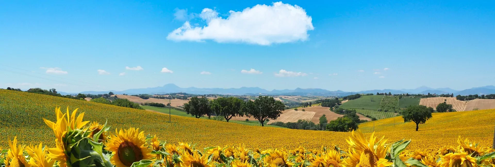 marche-italie-sunna-travel