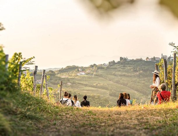 Borgo Gradis'ciutta Gorizia Friuli uitzcht wijngaarden.jpg