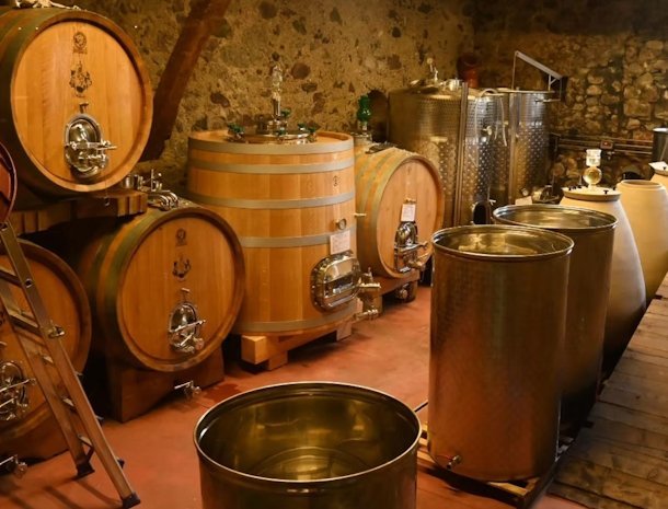 Riedingerhof-Merano-Trentino-wijnkelder.jpg
