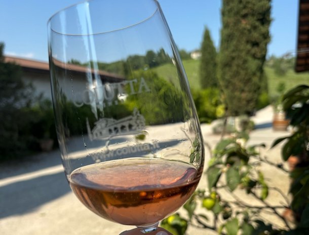 agriturismo-colutta-Manzano-Friuli-wijn.jpg